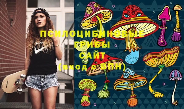 ешки Заволжск